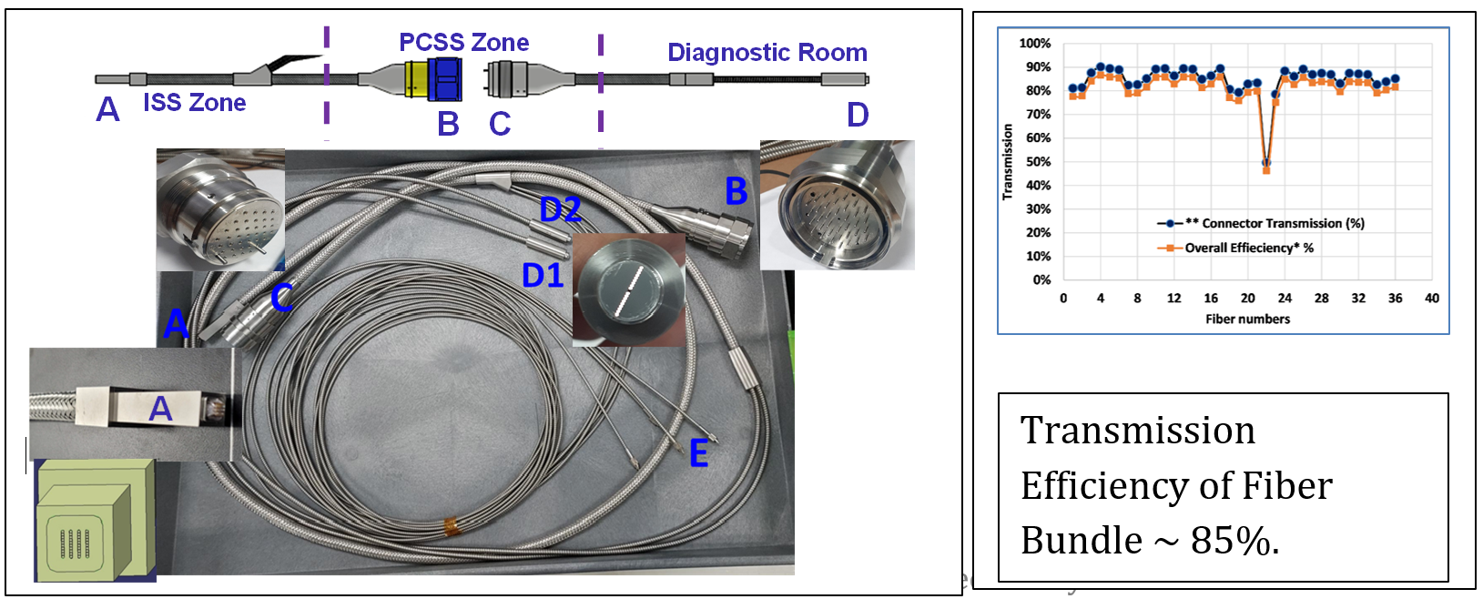 CXRS -P ‘s prototype 40 channel Fiber Bundle Assembly