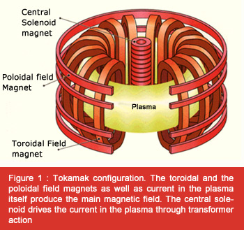 tokamak