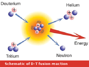 Fusion Reactions